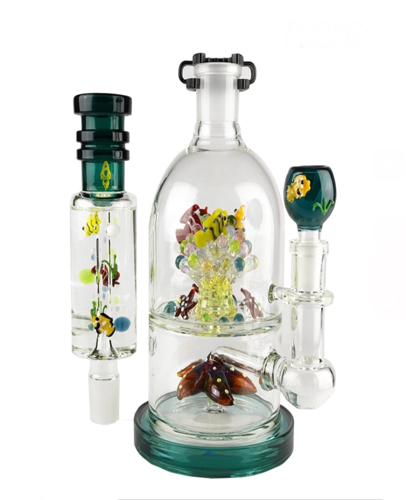 APOLLO: 17" 19mm FREEZE SEA FISH