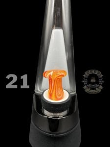 #21