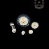 STEVE H GLASS: 5 PIECE PREMIUM TERP SLURPER SET - Image 5