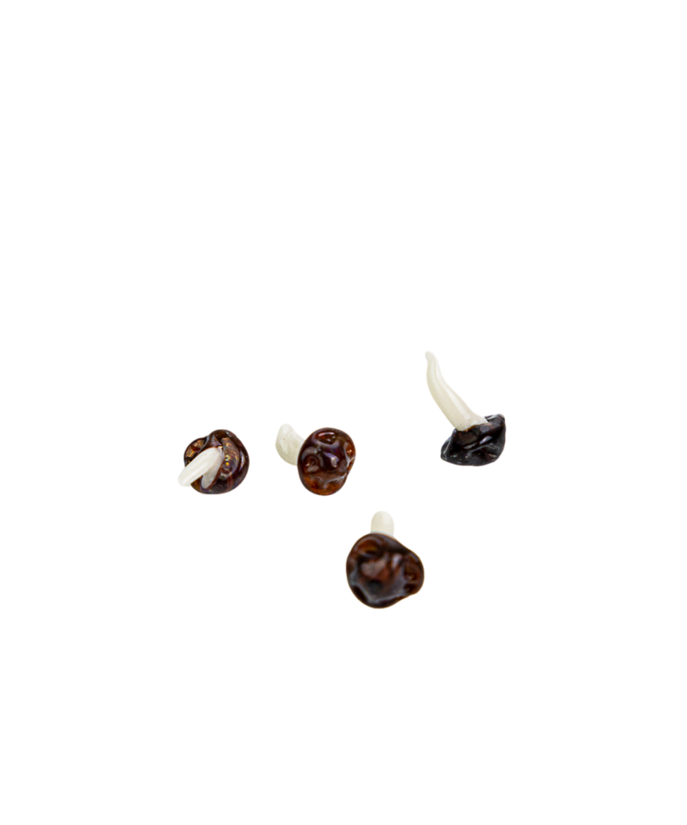 Alternative view of MUSHROOM TERP PEARL 1PC