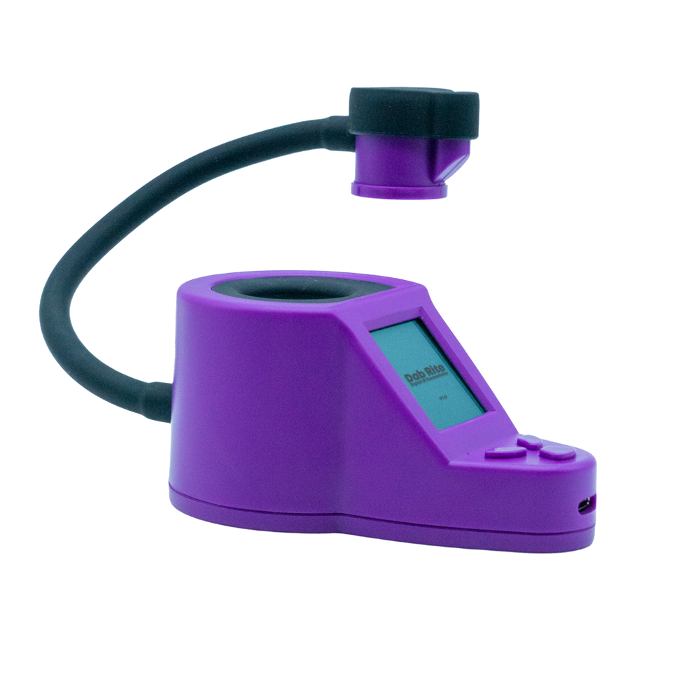 PURPLE W/ BLACK SILICONE
