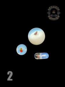 #2 GHOST