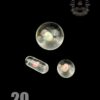 CAPTAIN TOKEZ GLASS: ENCASED OPAL TERP SLURP SET - Image 22