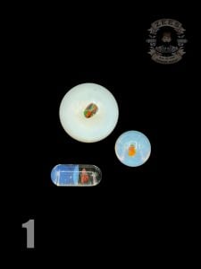 #1 GHOST