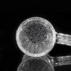 EVAN SHORE BANGERS: 24MM TRIPPY BANGER GOYARD - Image 3