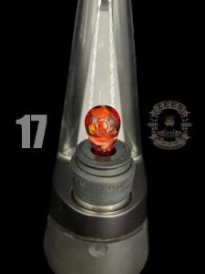 #17 CHARMANDER