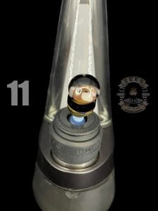 #11 EDM BEAR