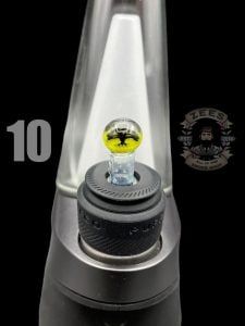 #10 TREE