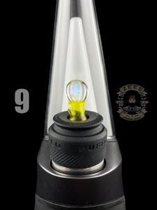 #9 TERPS CFL