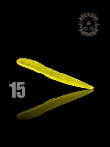 #15
