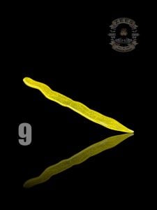 #9