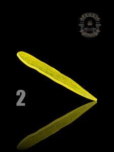 #2