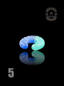 #5 WORM CAP STAND