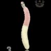 EMPERIAL GLASS: GUMMY PENDANT ASSORTED - Image 4