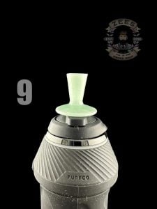 #9 MOSS