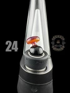 #24