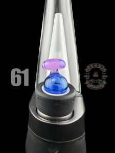 #61