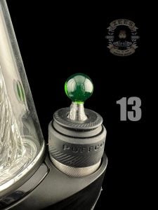 #13 PLANTPHIBIAN