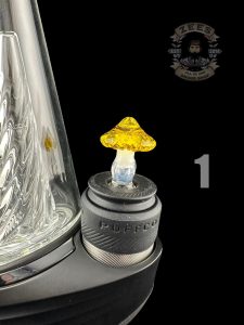 #1 TERPS SHROOM