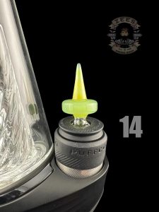 #14 LICHEN