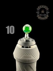 #10 PLANTPHIBIAN