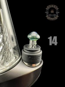 #14 STARDUST
