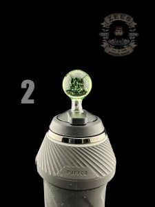 #2 HYDRA CFL