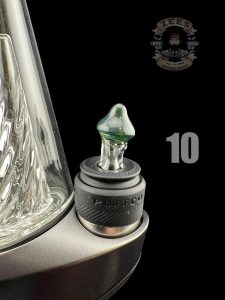 #10 STARDUST