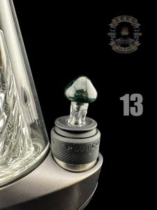 #13 STARDUST