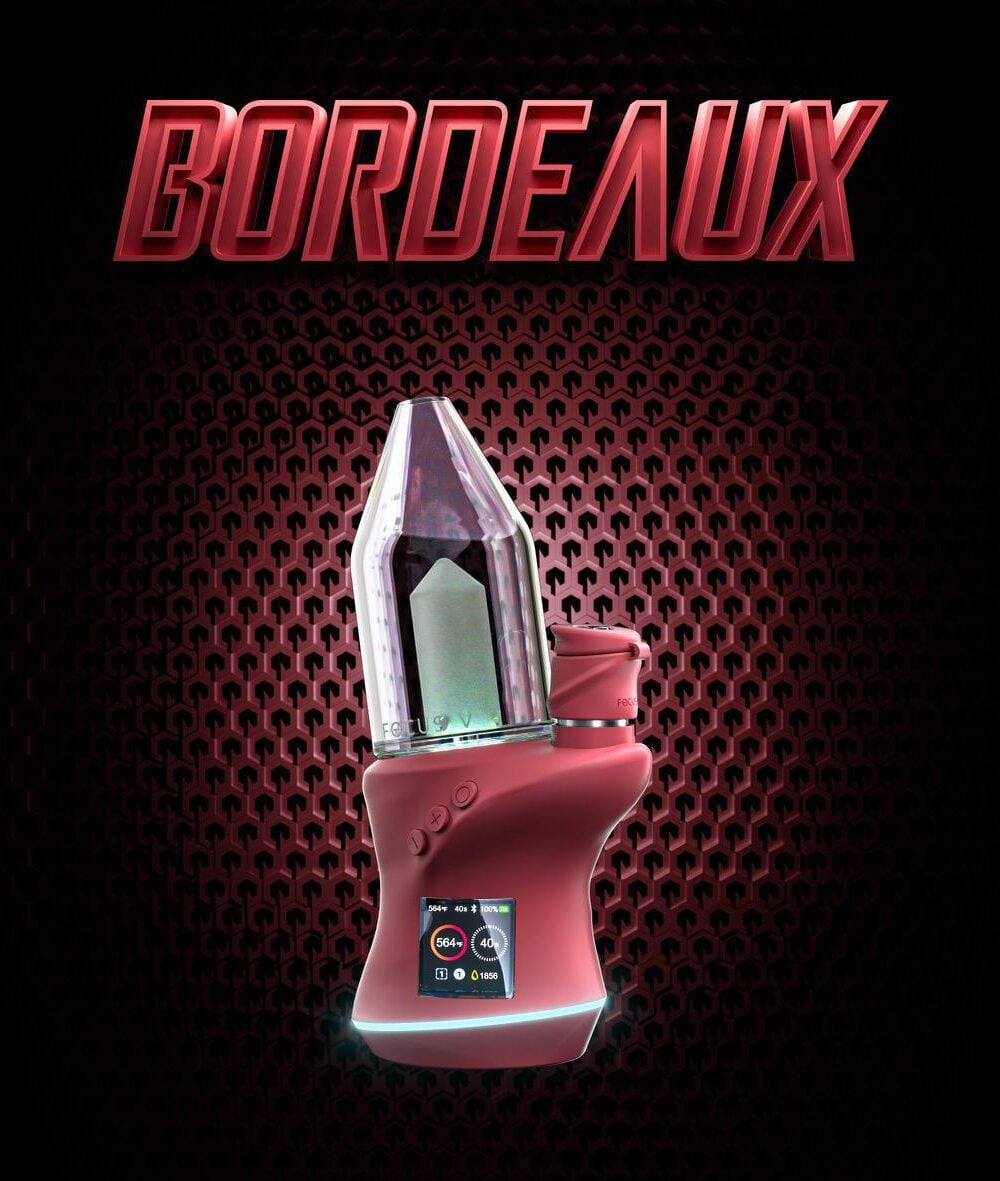 FOCUS V: CARTA 2 KIT LIMITED EDITION BORDEAUX
