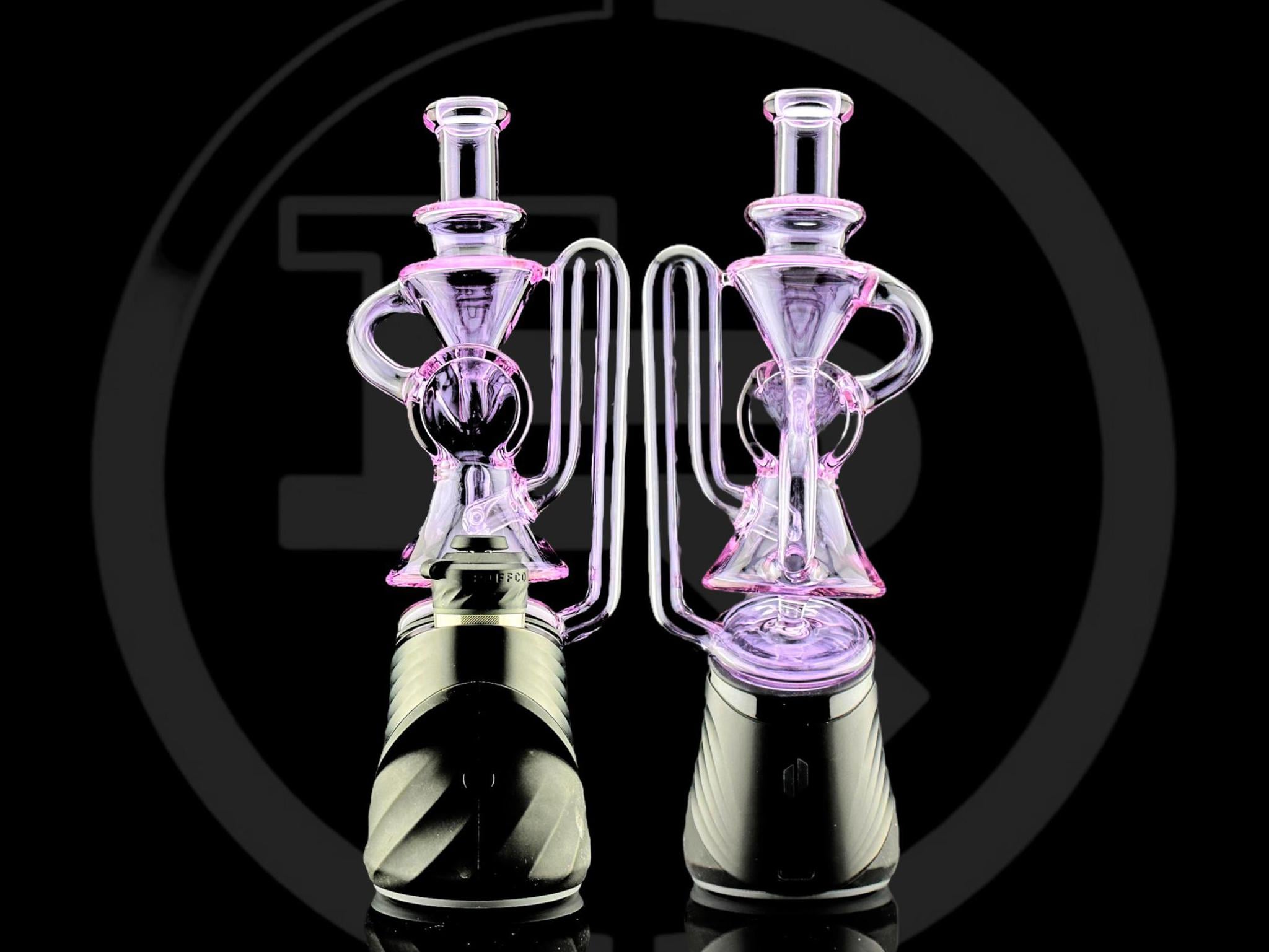 CFL PURPLE