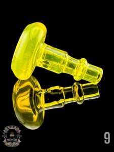 #9 - TERPS