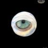 PIPPEN PIPPENGER GLASS: WORKED EYEBALL 3DXL PEAK PRO JOYSTICK CAP - Image 18