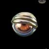 PIPPEN PIPPENGER GLASS: WORKED EYEBALL 3DXL PEAK PRO JOYSTICK CAP - Image 5
