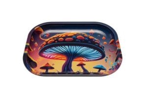 MUSHROOM FOREST