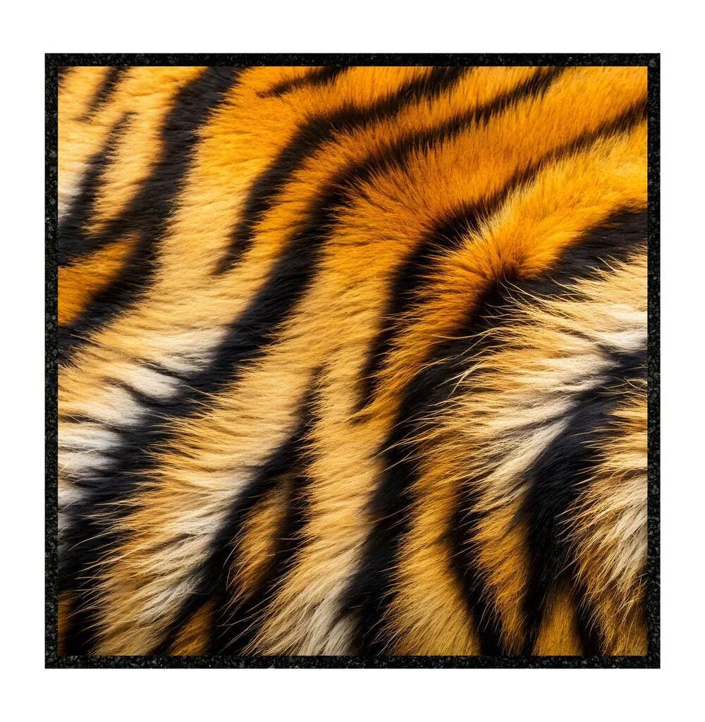 MOOD MATS: 12" TIGER 2025