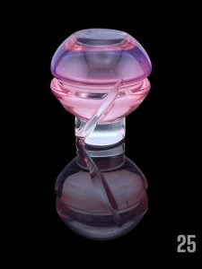 #25 STARGAZER
