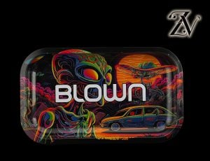ALIEN ROAD TRIP