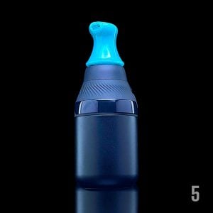 #5 - BLUE BIRD