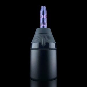 PURPLE (CFL)