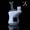 clear-carta