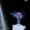 5-moonstone-x-meta-x-royal-jelly