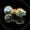 2-black-rainbow