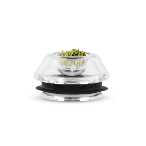 PUFFCO: PROXY FLOWER BOWL
