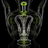 OTW GLASS: FULL SIZE COLOR ACCENTED TDR ION (UV) - Image 3