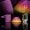 6-fli-lucy-uv-set